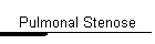 Pulmonal Stenose