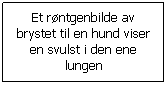 Tekstboks: Et rntgenbilde av brystet til en hund viser en svulst i den ene lungen
